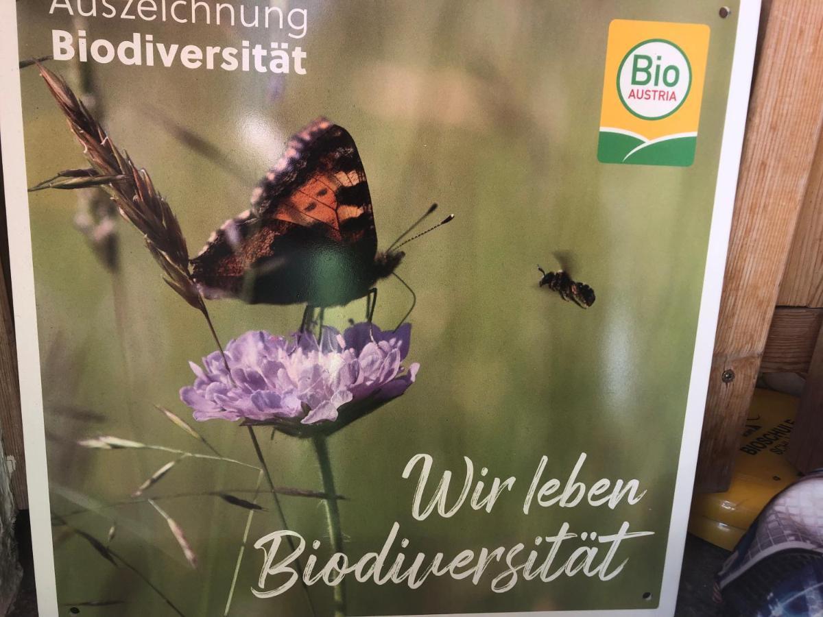 Biohof Sauschneider Apartman Sankt Margarethen im Lungau Kültér fotó